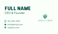 Natural Eco Leaf Business Card Design
