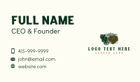 Ponderosa Pine Tree Montana Business Card Preview